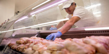 Tavuk eti üretimi Temmuz’da aylık ve yıllık bazda arttı