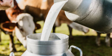 TÜİK Açıkladı! Temmuz ayında süt üretimi arttı