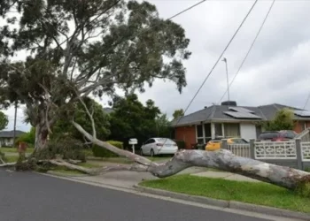 Avustralya’da fırtına ve yağış 120 bin kişiyi elektriksiz bıraktı