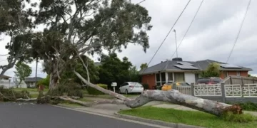 Avustralya’da fırtına ve yağış 120 bin kişiyi elektriksiz bıraktı