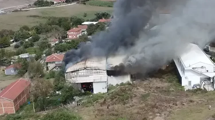 catalca fabrika yangini habermeydan