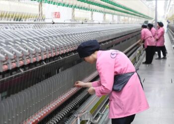 Kadınların iş gücüne katılım oranı 2024’ün ilk yarısında yükseldi