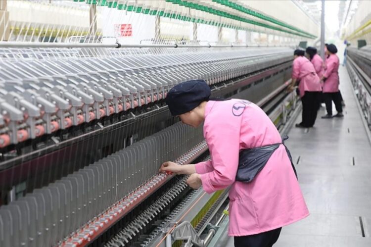 Kadınların iş gücüne katılım oranı 2024'ün ilk yarısında yükseldi kadin is gucu habermeydan