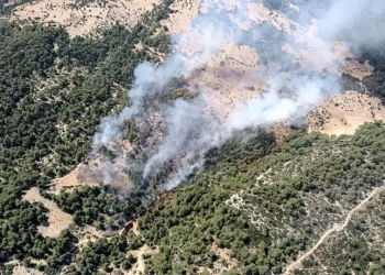 Kaş’ta orman yangını! Müdahale devam ediyor