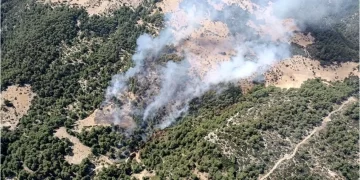 Kaş’ta orman yangını! Müdahale devam ediyor