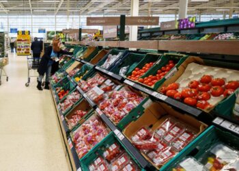 FAO’ya göre küresel gıda fiyatlarında sınırlı düşüş gerçekleşti