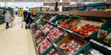 FAO’ya göre küresel gıda fiyatlarında sınırlı düşüş gerçekleşti