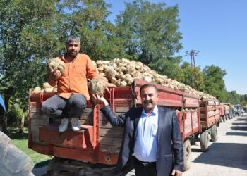 Muş’ta, ’43. Şeker Pancar Alım Kampanyası’ törenle başladı!