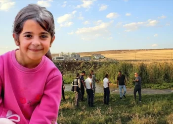 Narin Güran’ı arama çalışmaları kasıtlı olarak sekteye uğratıldı