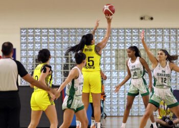 OGM Ormanspor 69-75 Fenerbahçe