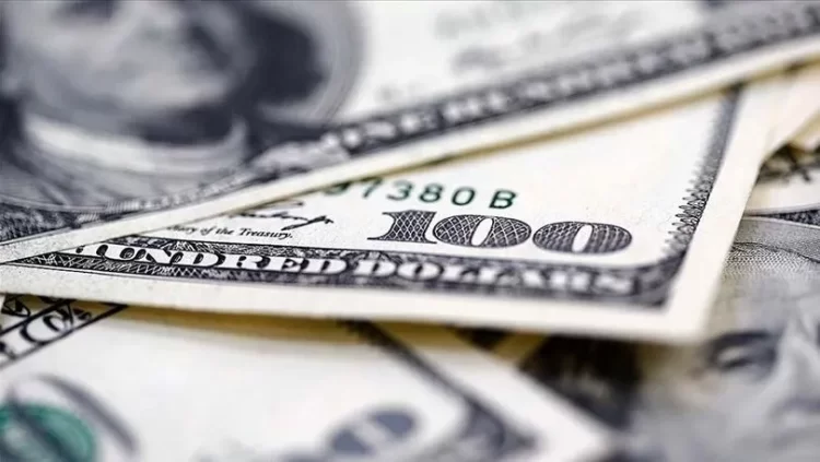 reel doviz habermeydan