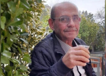 Sinop’ta, arıların saldırısında 1 kişi öldü!