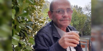 Sinop’ta, arıların saldırısında 1 kişi öldü!