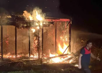 Sinop’ta, bir baraka alevlere teslim oldu!