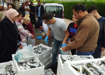 Sinop’ta yasa dışı avlanan 70 kasa balık vatandaşa dağıtıldı!