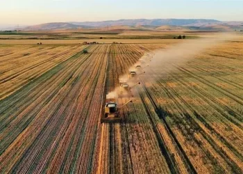 Tarımda verimliliği artıracak yeni üretim planlaması!