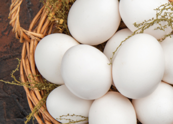Yumurta tüketim tarihi düzenlemesi ile israf azaltılacak