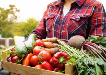Bitkisel üretimin bir önceki yıla göre meyve ve sebze grubunda artacağı tahmin edildi