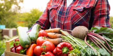 Bitkisel üretimin bir önceki yıla göre meyve ve sebze grubunda artacağı tahmin edildi