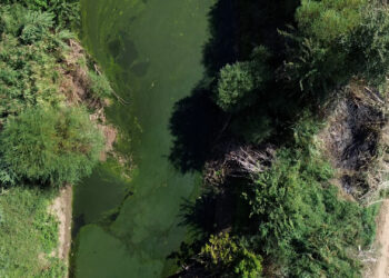 Bakanlık duyurdu! Eğirdir Gölü’nde 9 maddelik eylem planı hayata geçirildi