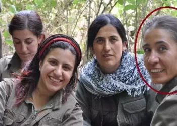 PKK’nın iki sözde sorumlusunu etkisiz hale getirildi