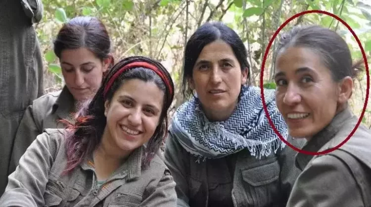 PKKnin iki sozde sorumlusunu etkisiz hale getirildi habermeydan