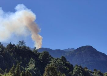 Denizli 6 gündür yanıyor: Belediye başkanından acil yardım çağrısı