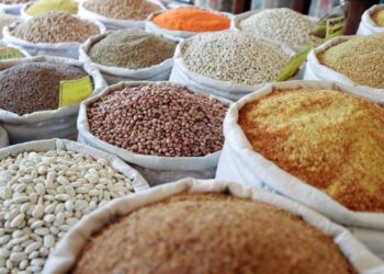 Türkiye’nin hububat ve bakliyat ihracatı 9 milyar dolara ulaştı