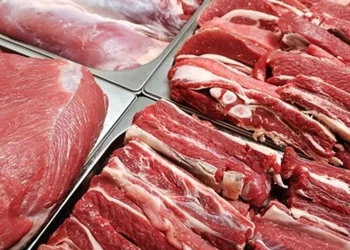 Bakan Yumaklı açıkladı: Kırmızı et ithalatını bitirmek istiyoruz