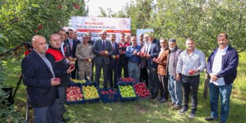 Muş’ta, elma hasadından beklenen gelir 25 milyon lira!