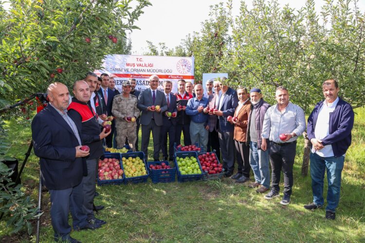 mus ta elma hasadindan beklenen gelir 25 milyon lira habermeydan 1