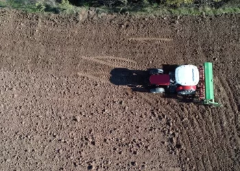 Siyez buğdayı ekim süreci başladı
