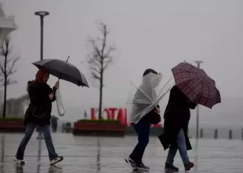 İstanbul’da fırtına ve sağanak yağış: Ağaçlar devrildi, çatılar uçtu