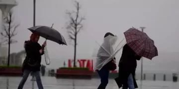 İstanbul’da fırtına ve sağanak yağış: Ağaçlar devrildi, çatılar uçtu