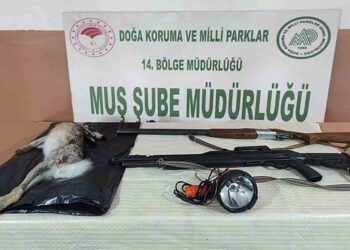 Muş’ta, kaçak avlanan 2 kişiye 52 bin 236 TL para cezası!