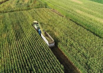 OECD açıkladı: Tarım sektörü çok sayıda zorlukla karşı karşıya