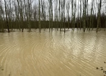 Sinop’ta, etkili sağanak yağış dereleri taşırdı!