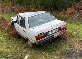 Sinop'ta, köpeğe çarpmamak için kaza yaptı: 3 yaralı! Sinop’ta, köpeğe çarpmamak için kaza yaptı: 3 yaralı!