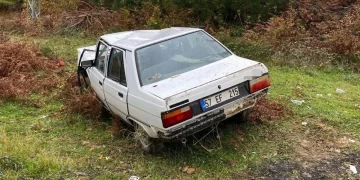 Sinop’ta, köpeğe çarpmamak için kaza yaptı: 3 yaralı!