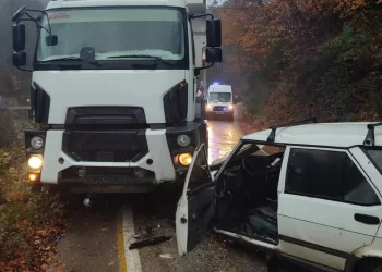 Sinop Ayancık’ta, otomobil ile kamyon çarpıştı: 1 yaralı!