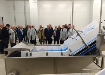 Sinop’ta, Temel Sektörlerin Rekabetçiliğinin Artırılması Projesi etkinliği düzenlendi!