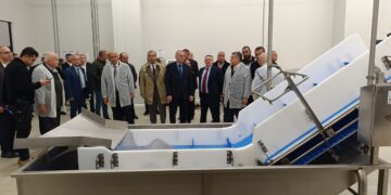 Sinop’ta, Temel Sektörlerin Rekabetçiliğinin Artırılması Projesi etkinliği düzenlendi!