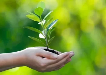 Geçen Yıl Çevre Koruma Harcamaları %56,8 Arttı