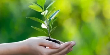 Geçen Yıl Çevre Koruma Harcamaları %56,8 Arttı