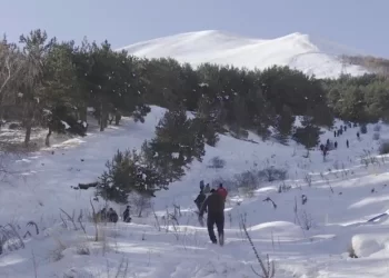 Erzurum Palandöken’de çığ düştü!