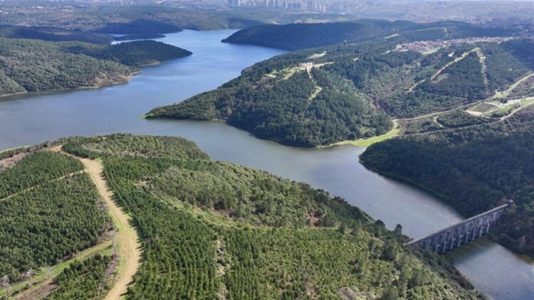 Yağışlar sonrasında İstanbul'da barajların doluluk oranında son durum Istanbulda barajlarin doluluk orani habermeydan