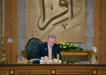 Cumhurbaşkanı Erdoğan: KOBİ’lerin desteklenmesinde D-8’in imkanları daha etkin kullanılmalı