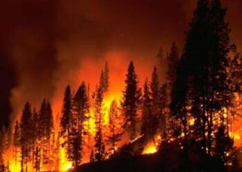 Avustralya’da orman yangını sebebiyle tahliyeler başladı