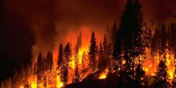 Avustralya’da orman yangını sebebiyle tahliyeler başladı