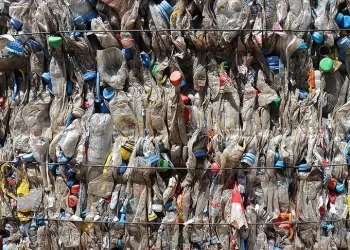 Türkiye’de son 5 yılda çevreye yarım trilyon lira yatırım yapıldı